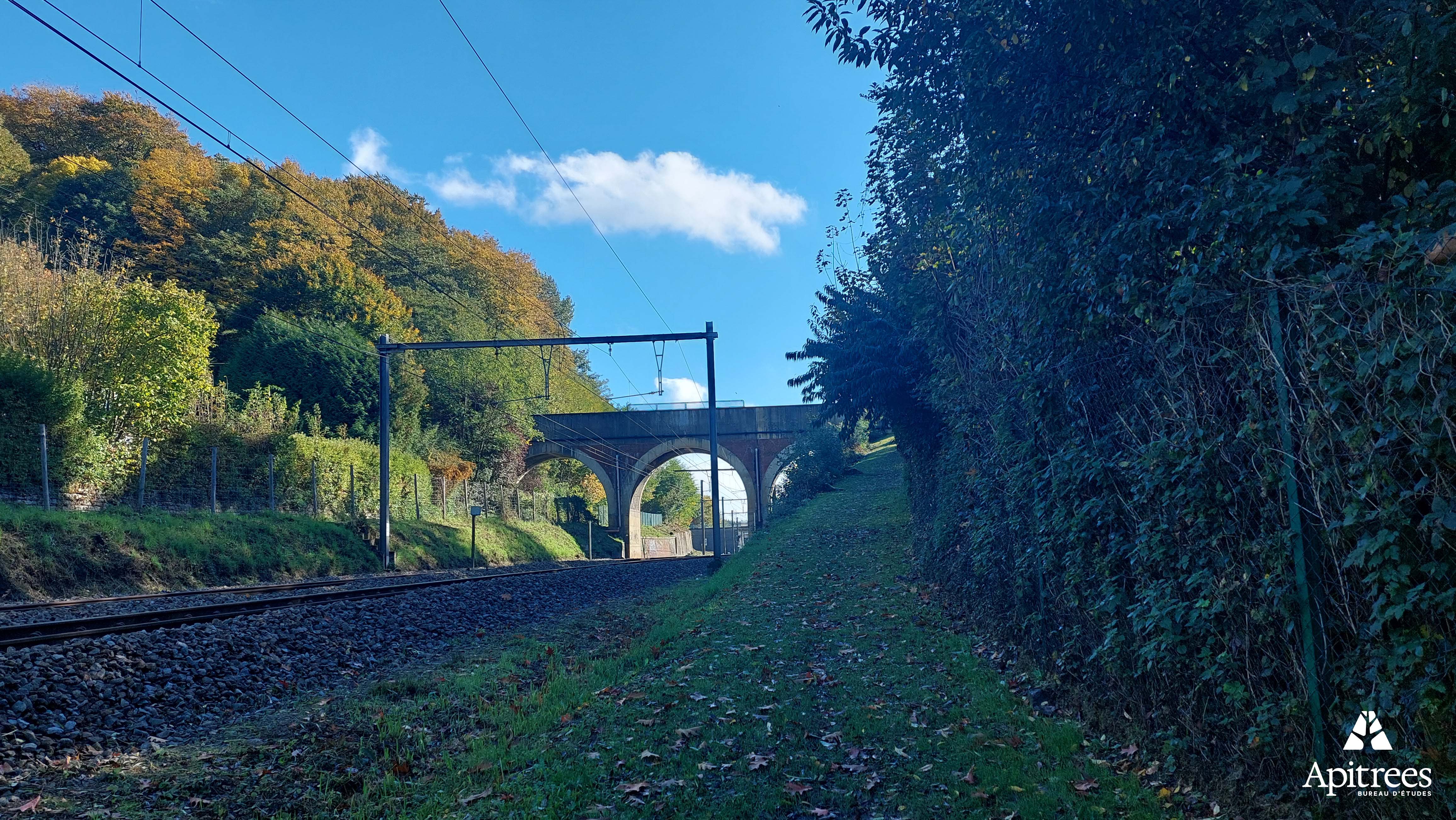 Bord de voie ferrée dans le contexte d'un inventaire de biodiversité pour Infrabel en Wallonie