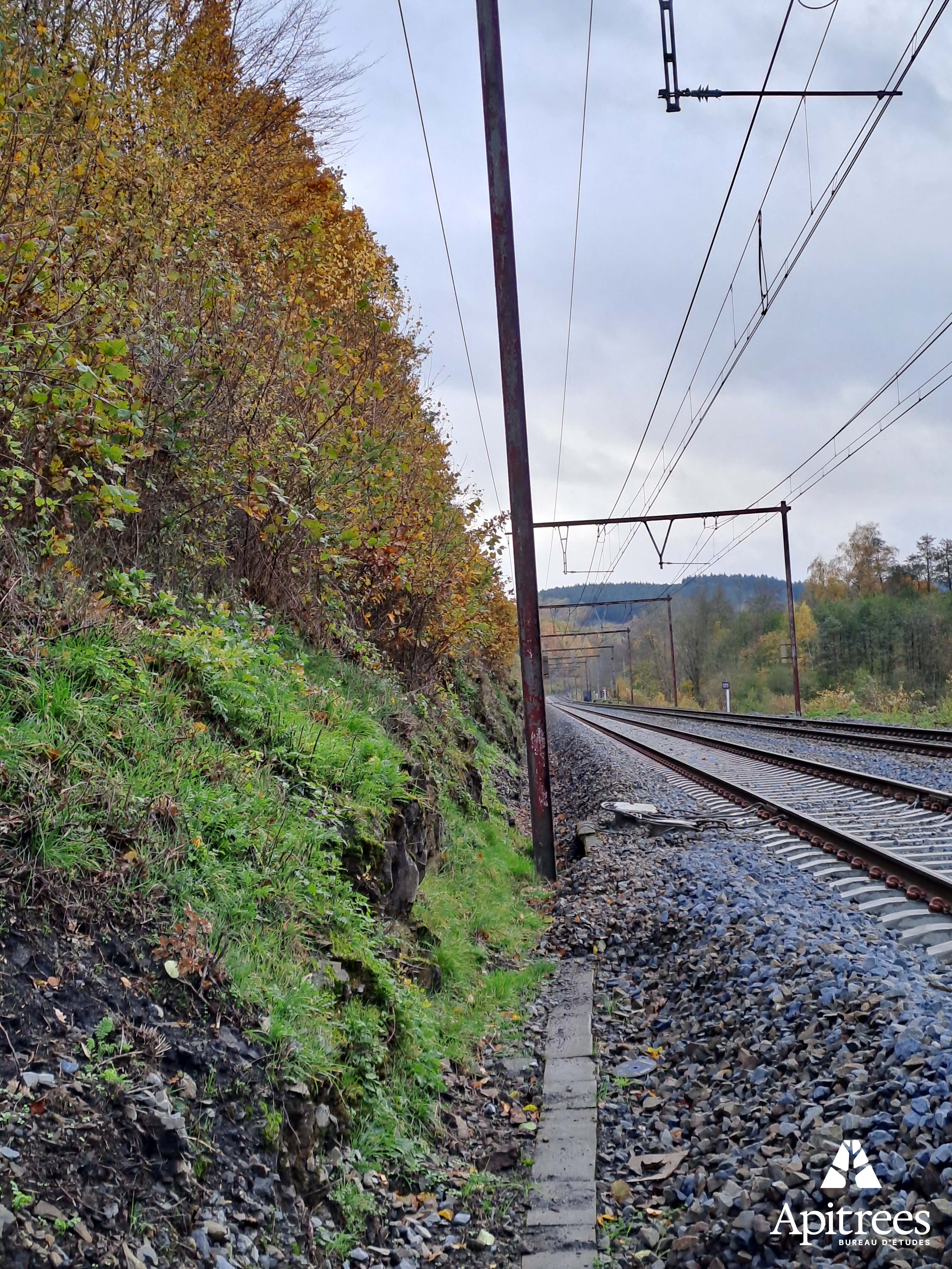 Bord de voie ferrée dans le contexte d'un inventaire de biodiversité pour Infrabel en Wallonie