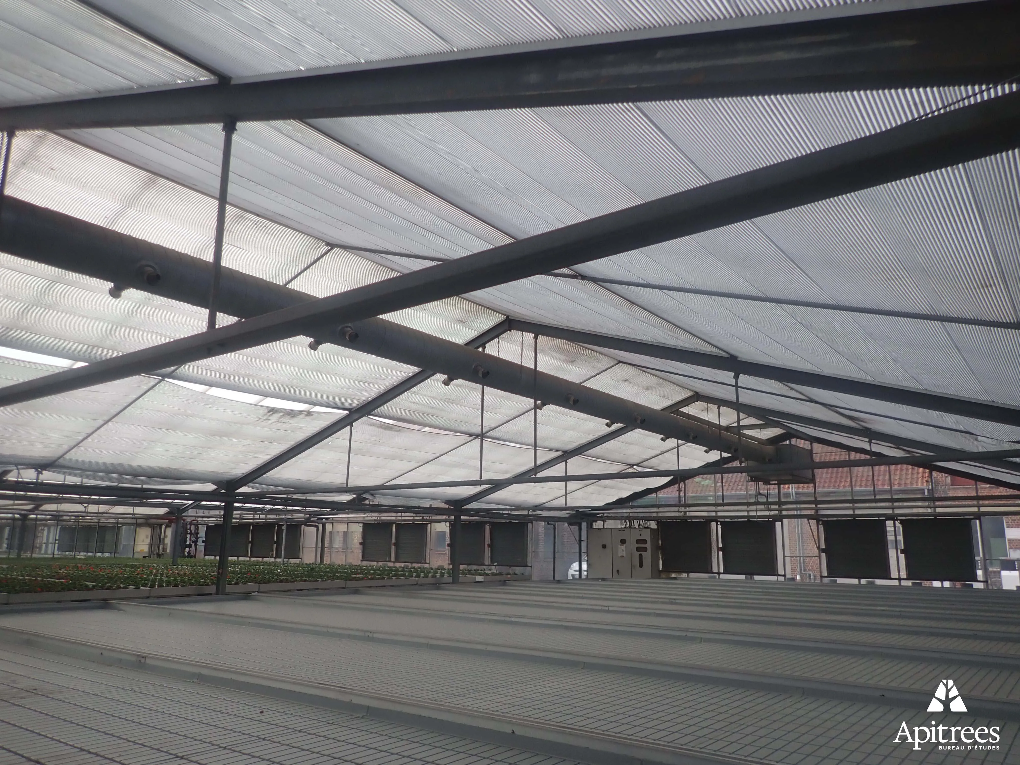 Serre de production de la ville de Bruxelles