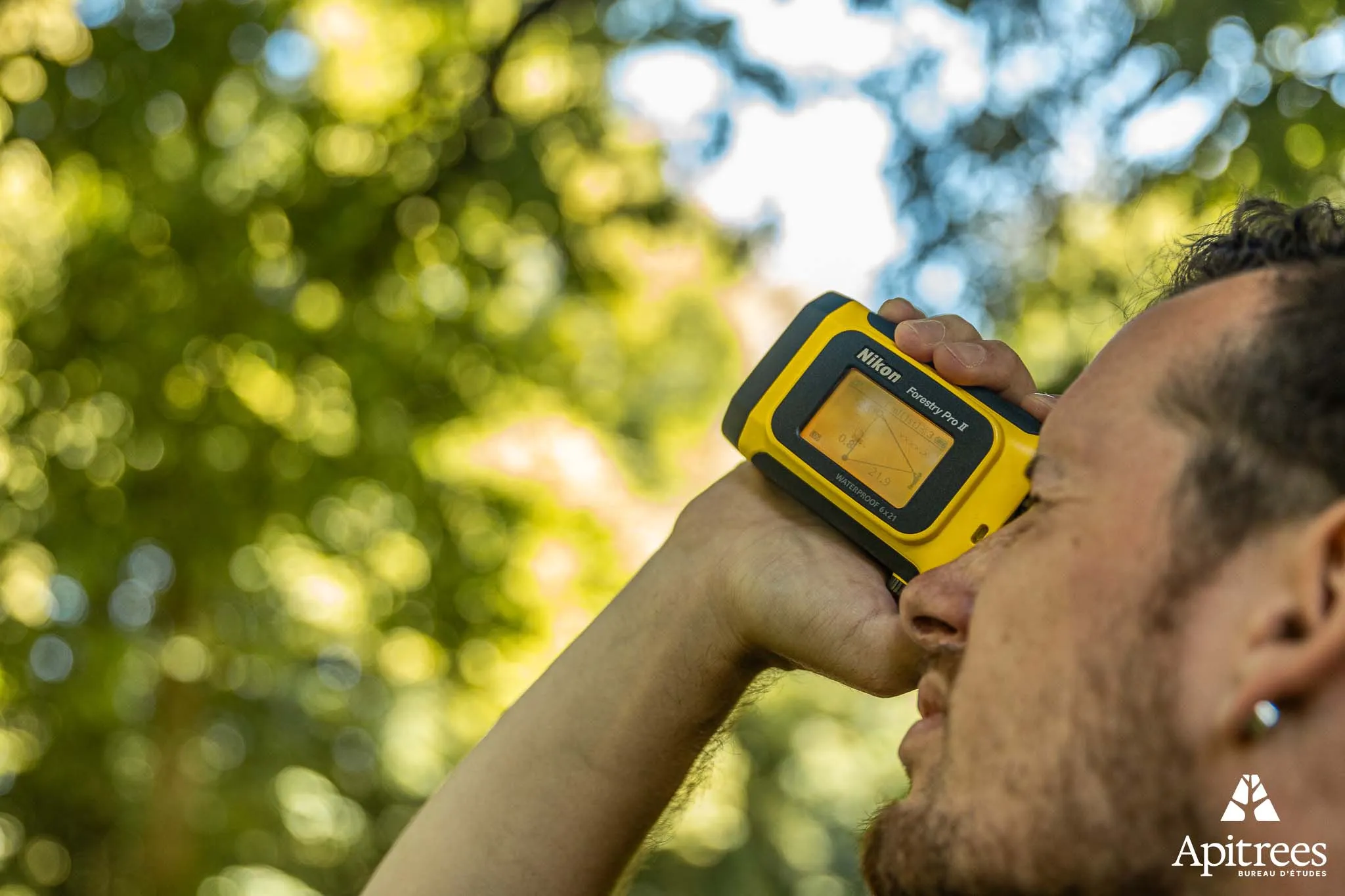 Prise de mesure pour connaitre la hauteur de l'arbre