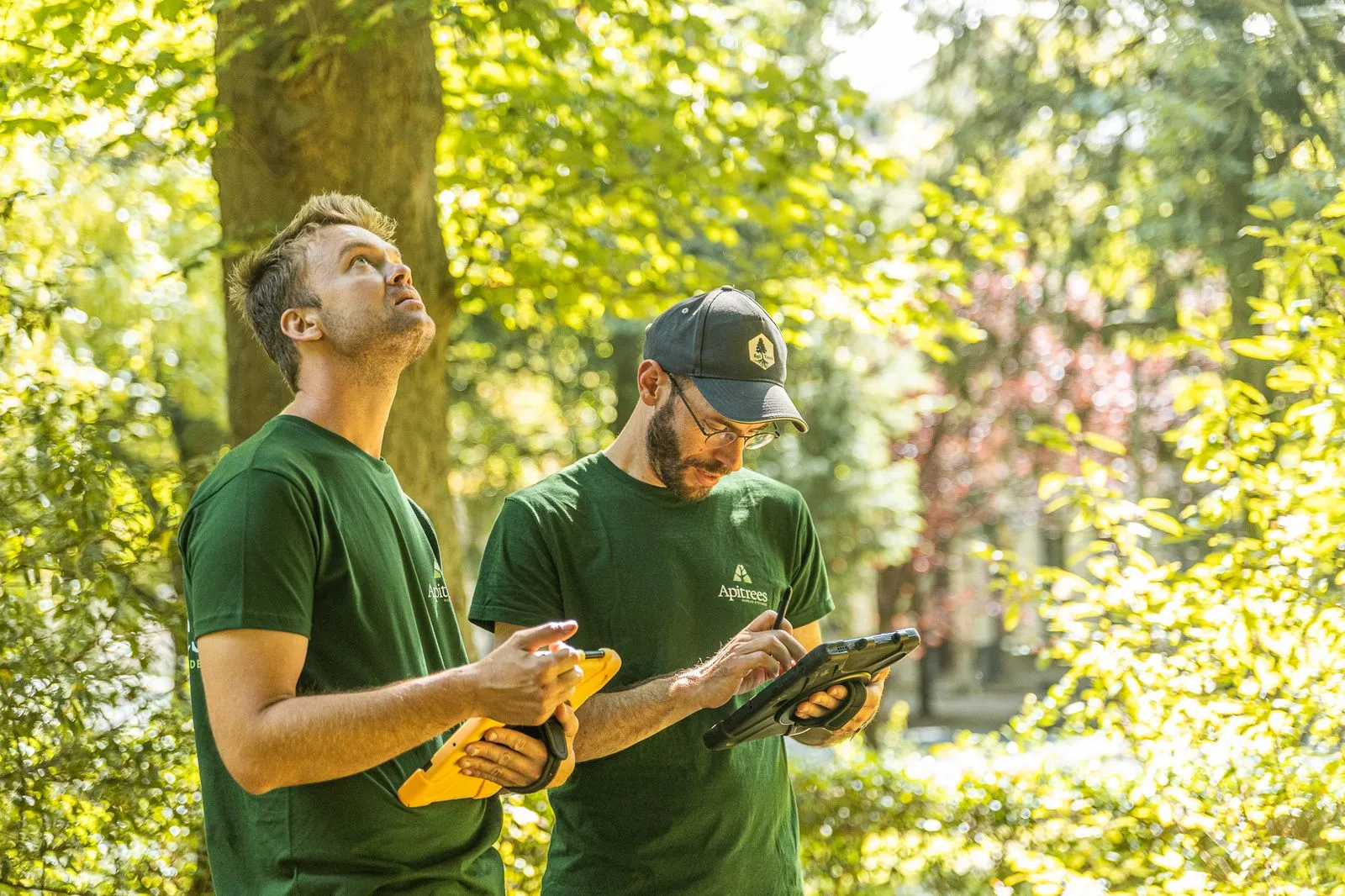 2 arboristes évaluent la valeur d'agrément d'un arbre