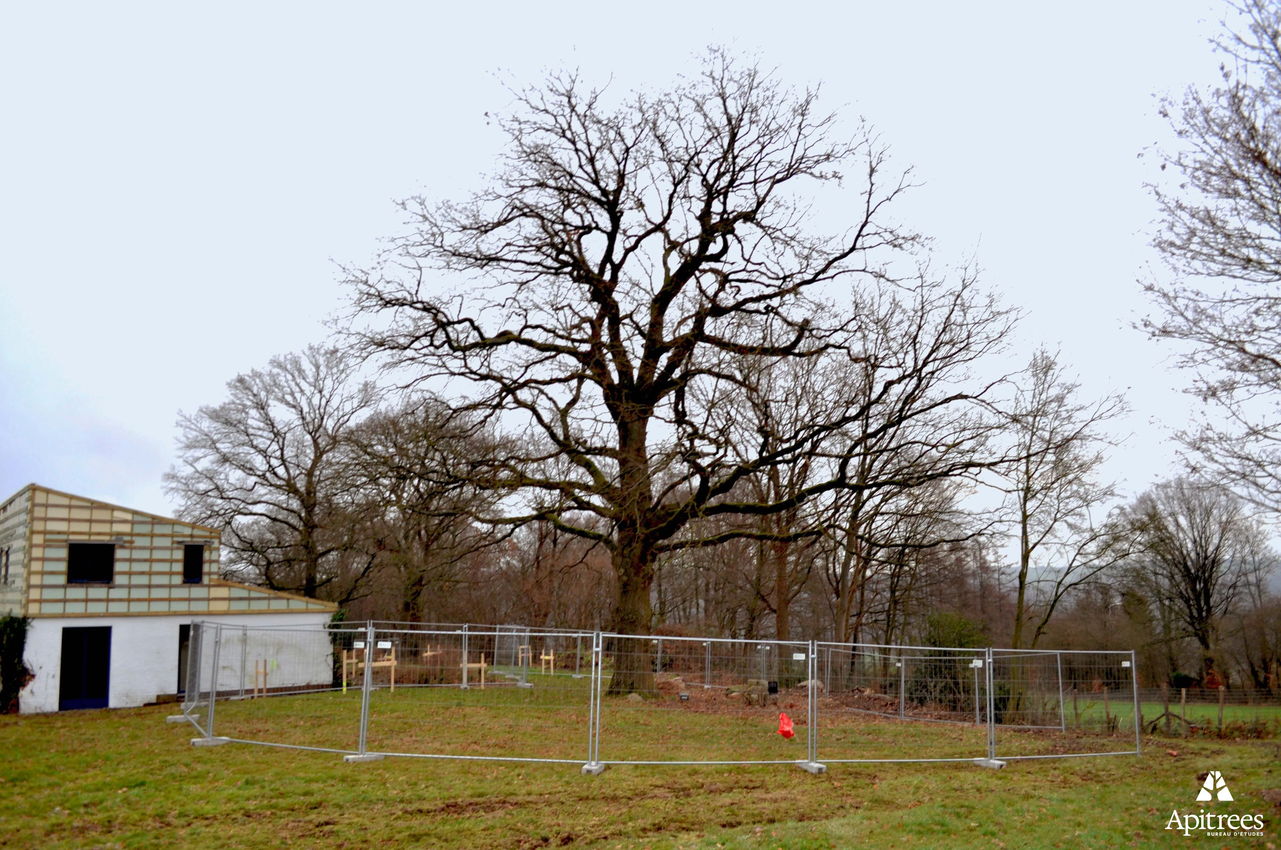 Périmètre de protection autour d'un arbre dans le cadre de travaux