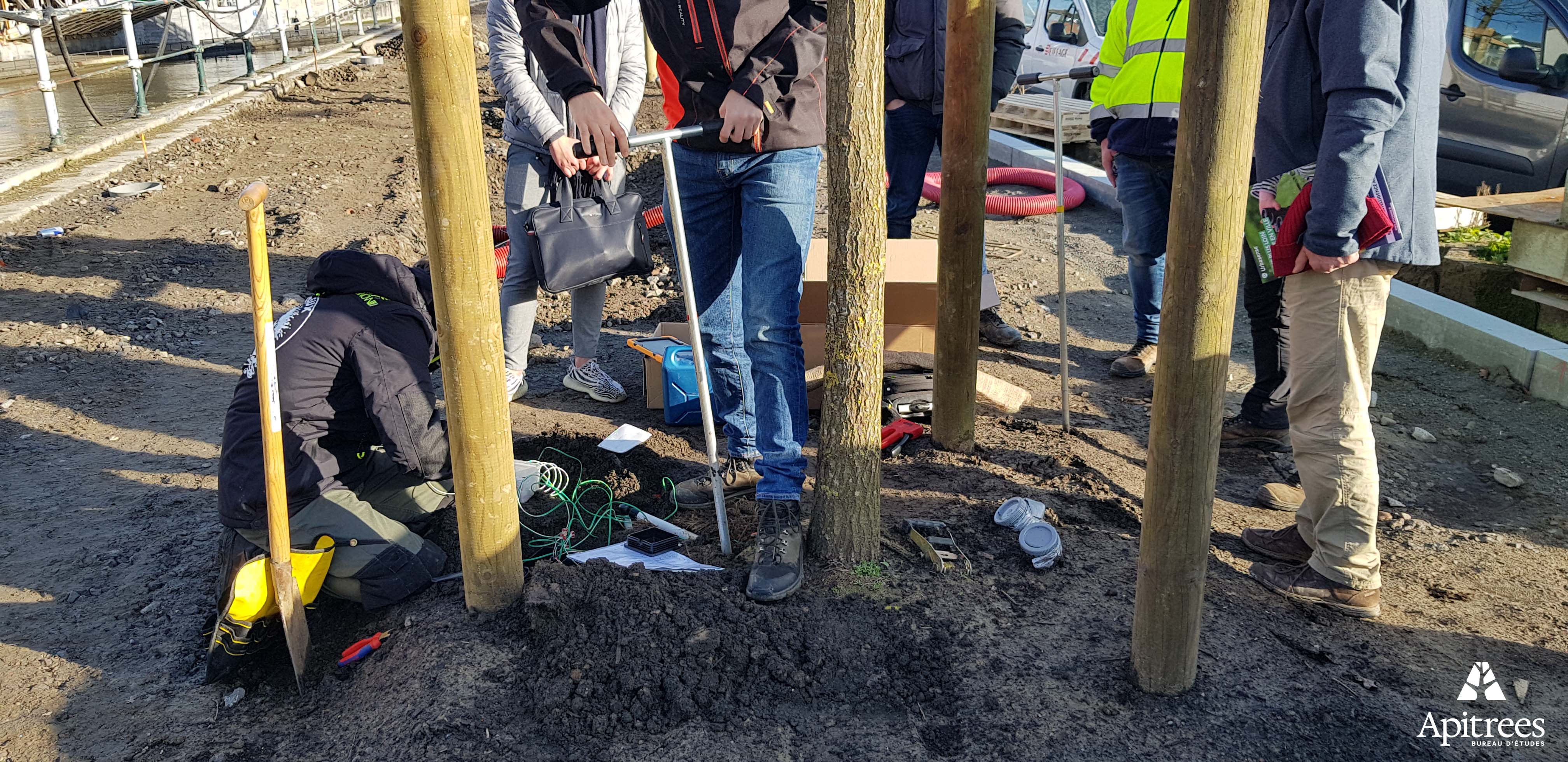 Mise en place d'un système de tensiométrie par des arboristes
