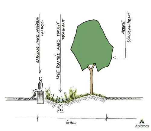 Illustrations dessinée d'une noue paysagère