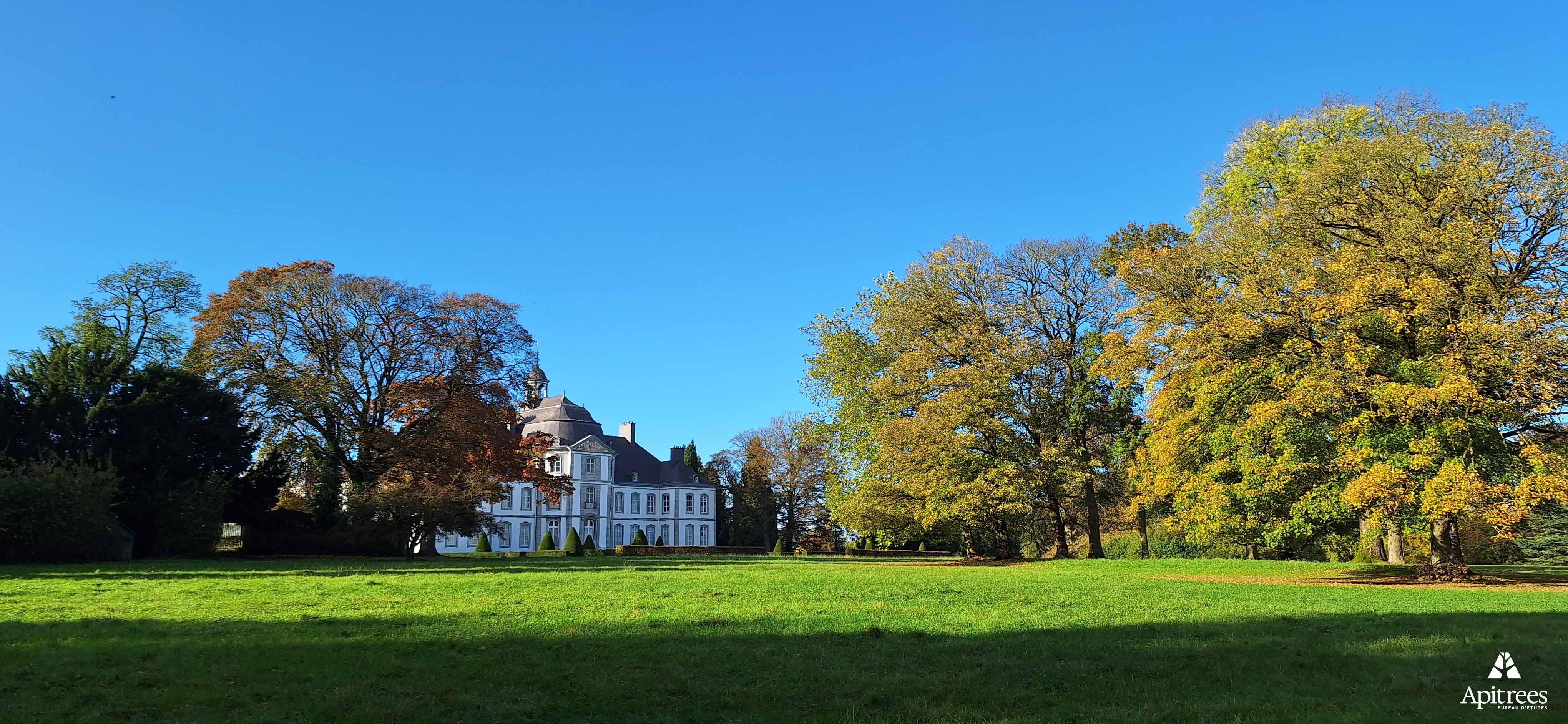 Arbre remarquable et ancien, avec périmètre de protection, dans le parc de Mariemont