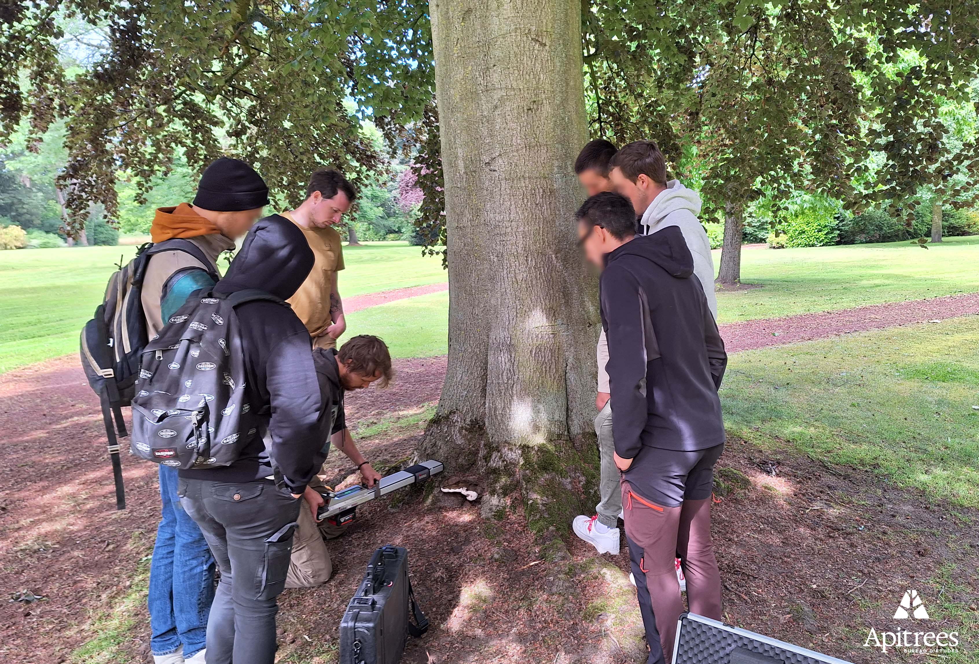 Formation de futurs arboristes au résistographe