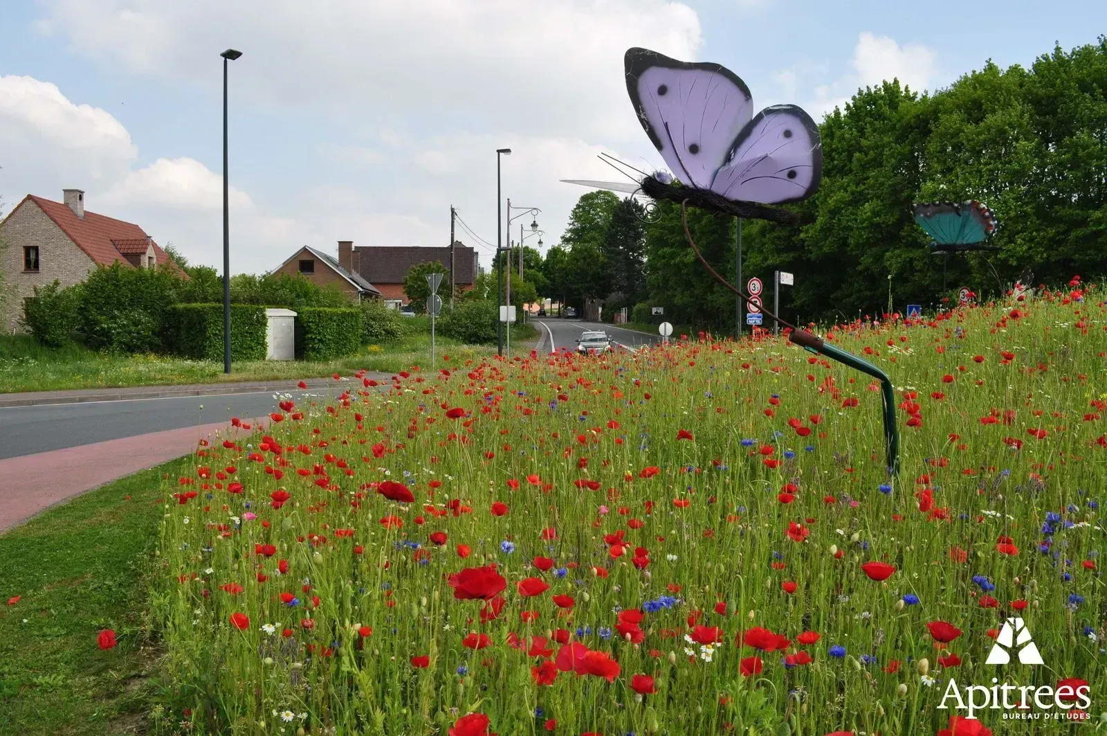 Prairie fleurie et bande de propreté sur un rond-point à Ath
