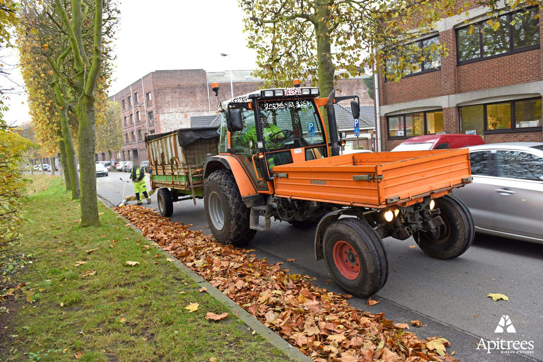 Ramassage des feuilles mortes en automne