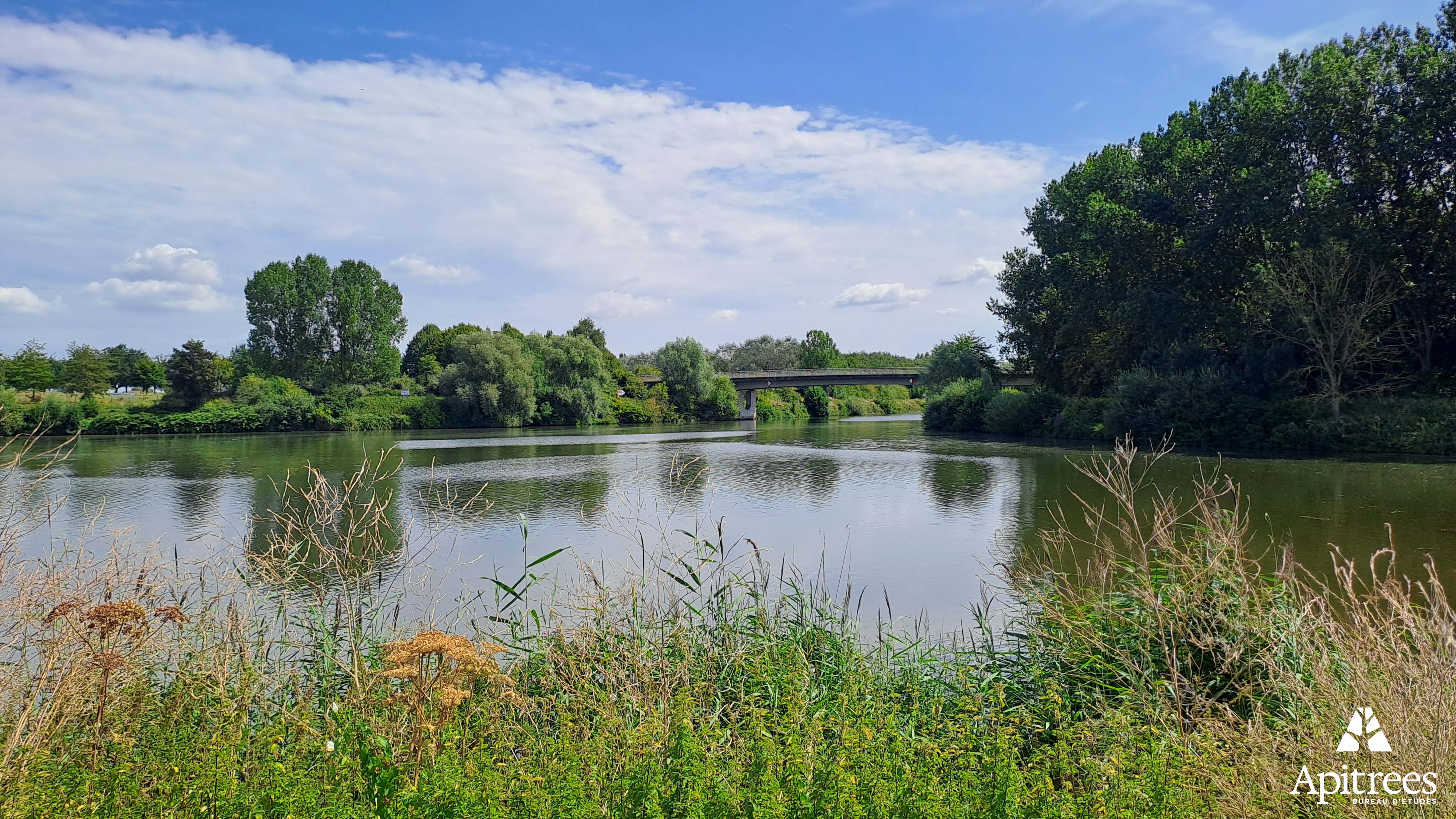 Zone humide à Comines-Warneton