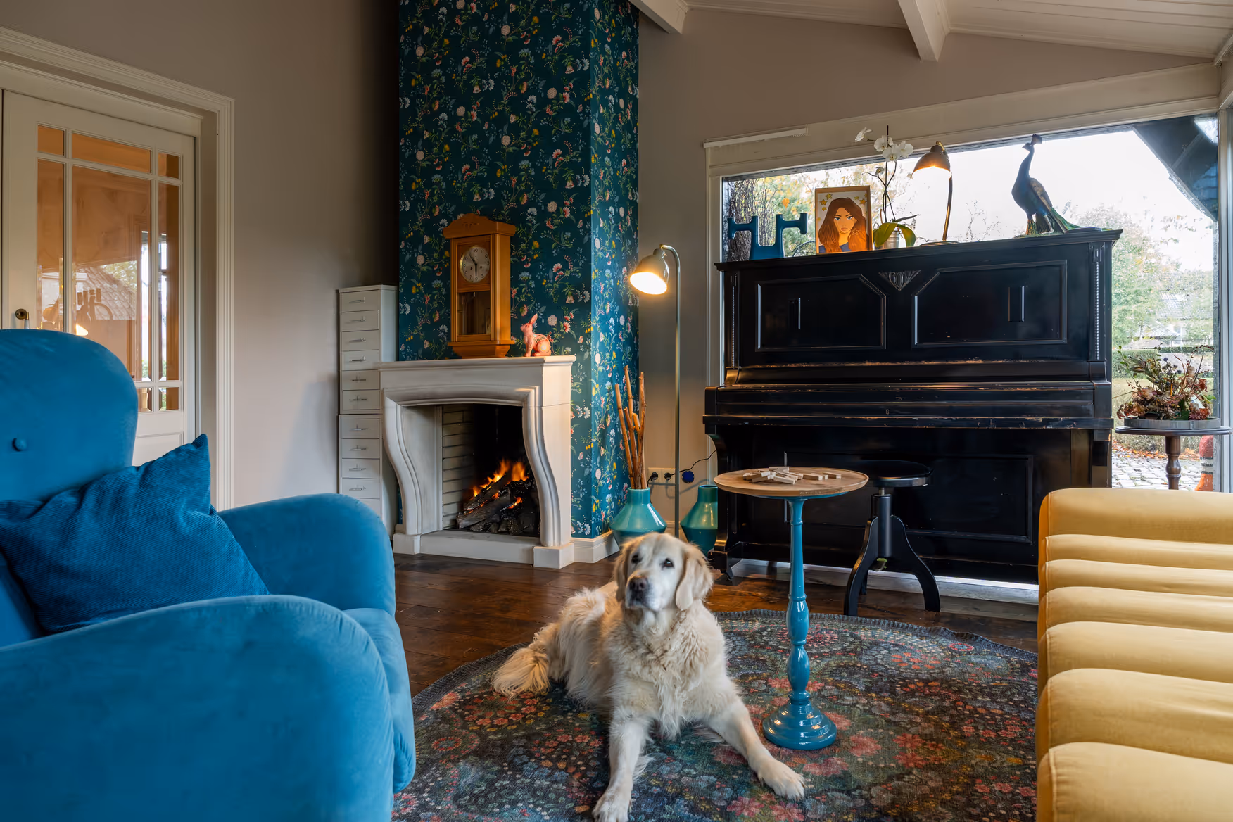 Golden retriever ontspannen in sfeervolle bijkamer van Fiks B&B