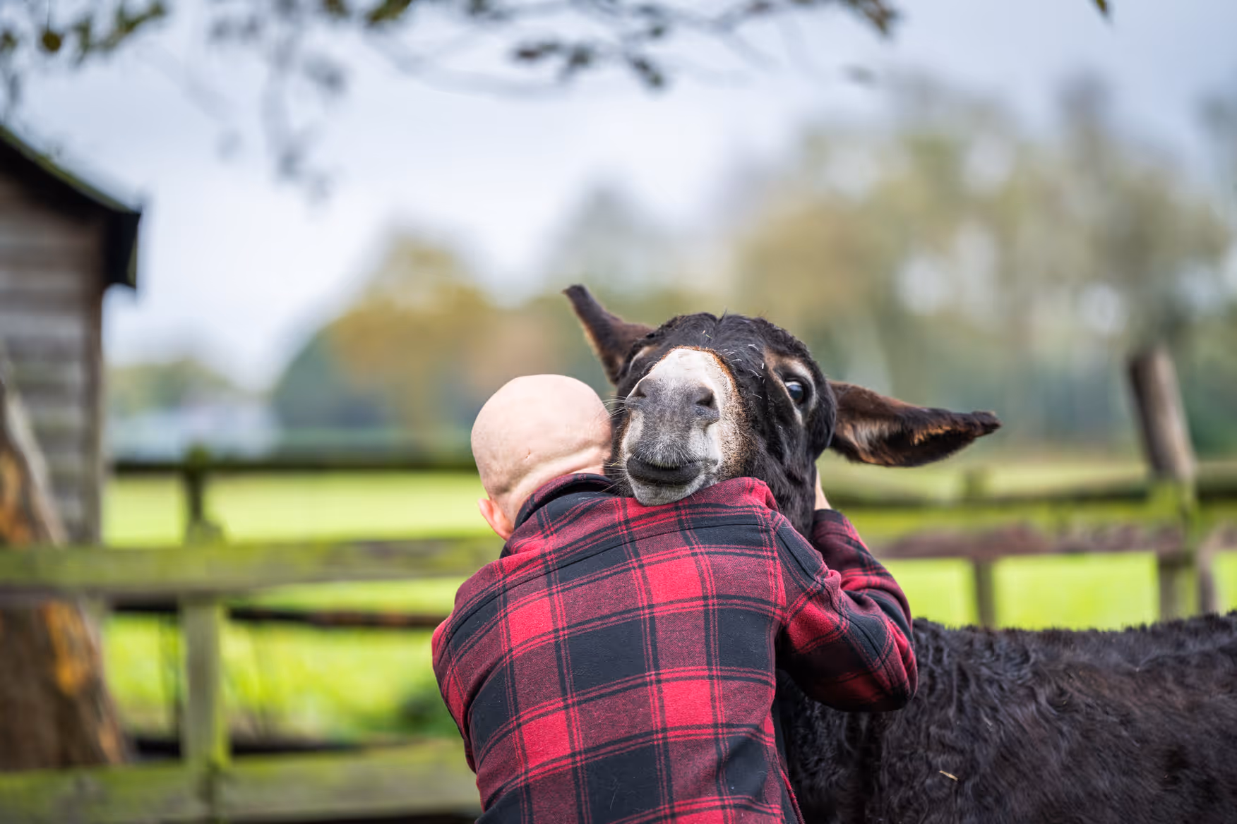 Man die een ezel knuffelt op het erf van Fiiks B&B