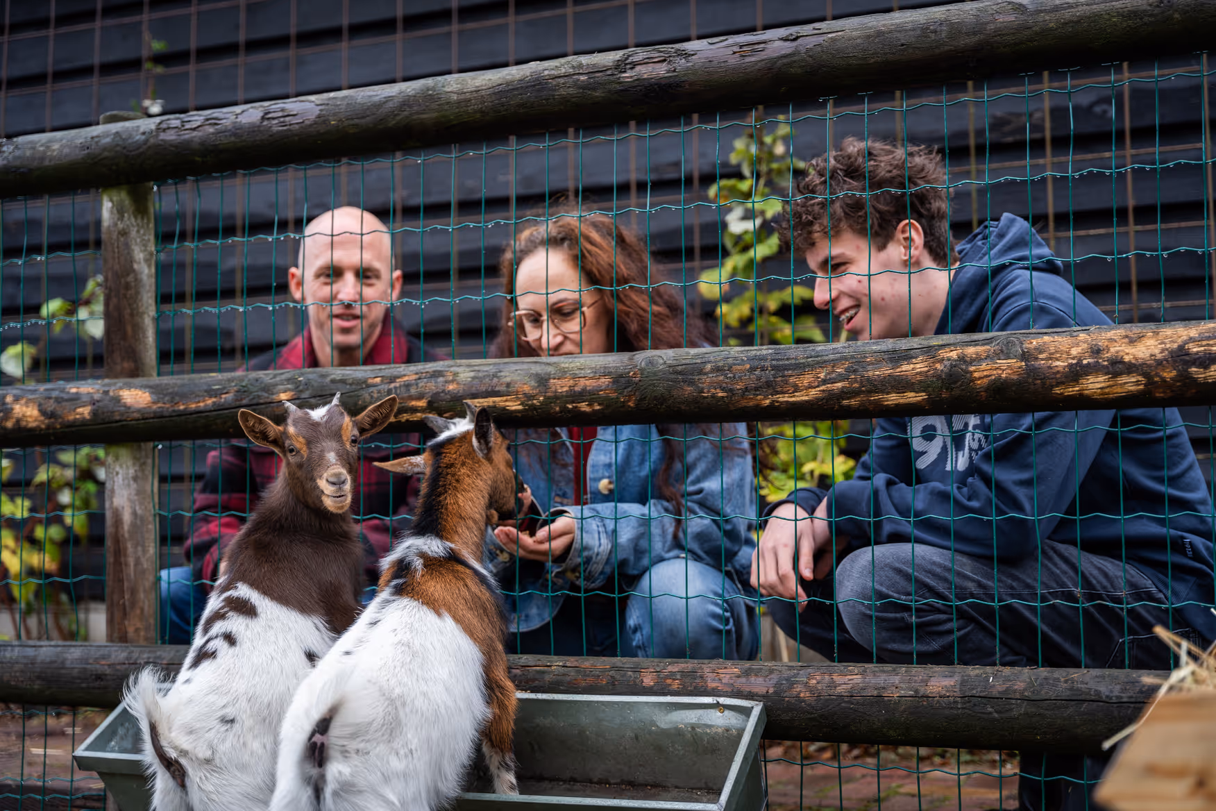 Bezoekers die geiten aaien bij dierenverblijf op het erf