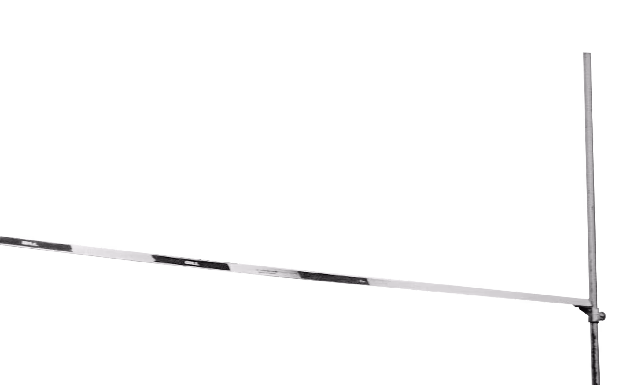 Asta per il salto in alto