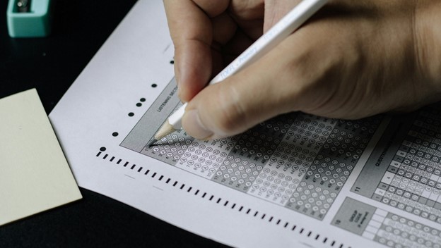 PASS 11 PLUS GRAMMAR PREPARATION SUCCESS
