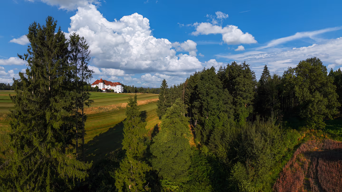 Weite Landschaft mit grünen Feldern, dichten Wäldern und einem weißen Schloss mit roten Dächern unter einem blauen Himmel mit großen, weißen Wolken.
