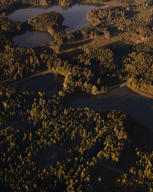 Luftaufnahme eines bewaldeten Gebiets mit mehreren Seen und Wasserflächen bei Sonnenuntergang.