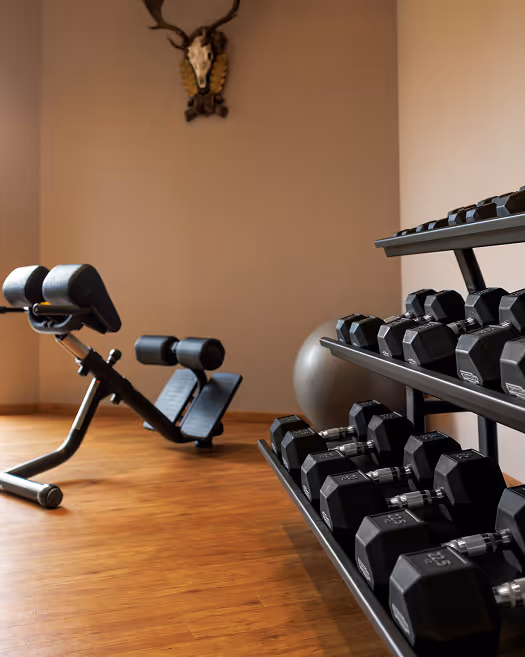 Fitnessraum mit Hanteln auf einem Regal, einer Trainingsbank und einem an der Wand montierten Geweih mit Totenschädel.