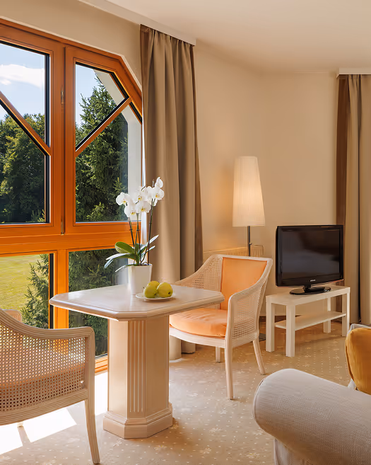 Helles Wohnzimmer mit zwei Stühlen, einem kleinen Tisch mit Blumen und Äpfeln, großem Fenster und Fernseher auf einem weißen Tisch.