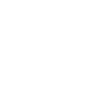 Service Icon Lite