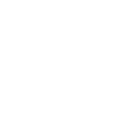 Service Icon Lite
