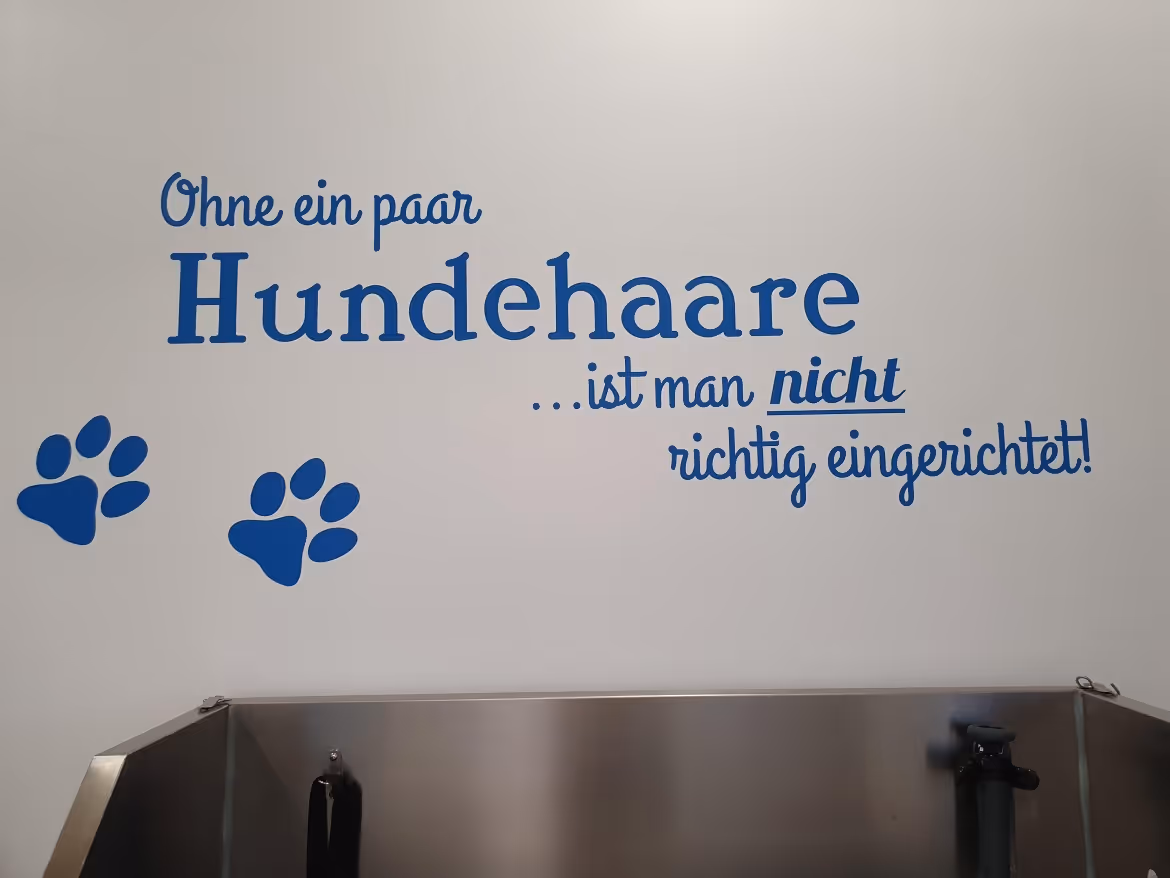 Wandgestaltung im Hundesalon der schicke Hund in der Tierarztpraxis Havixbeck