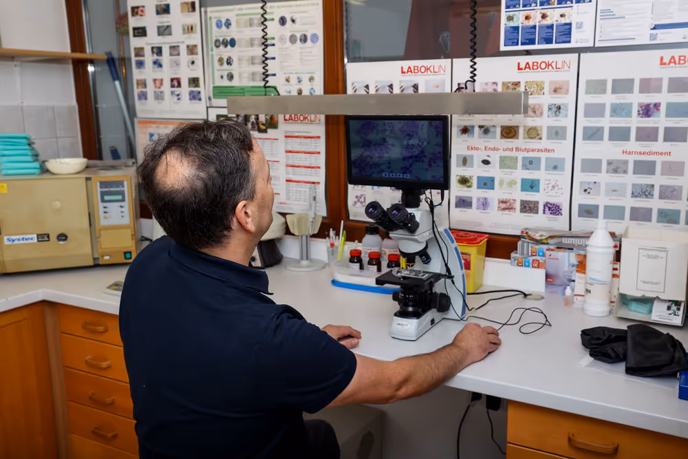 Labor Tierarztpraxis Havixbeck