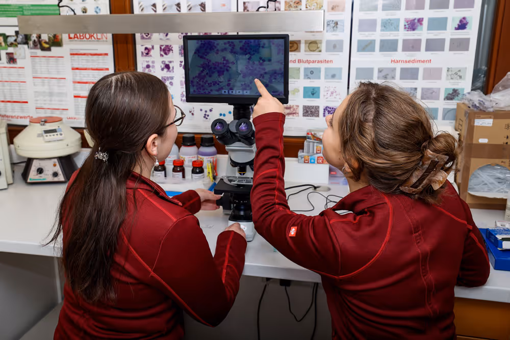 Labor Tierarztpraxis Havixbeck