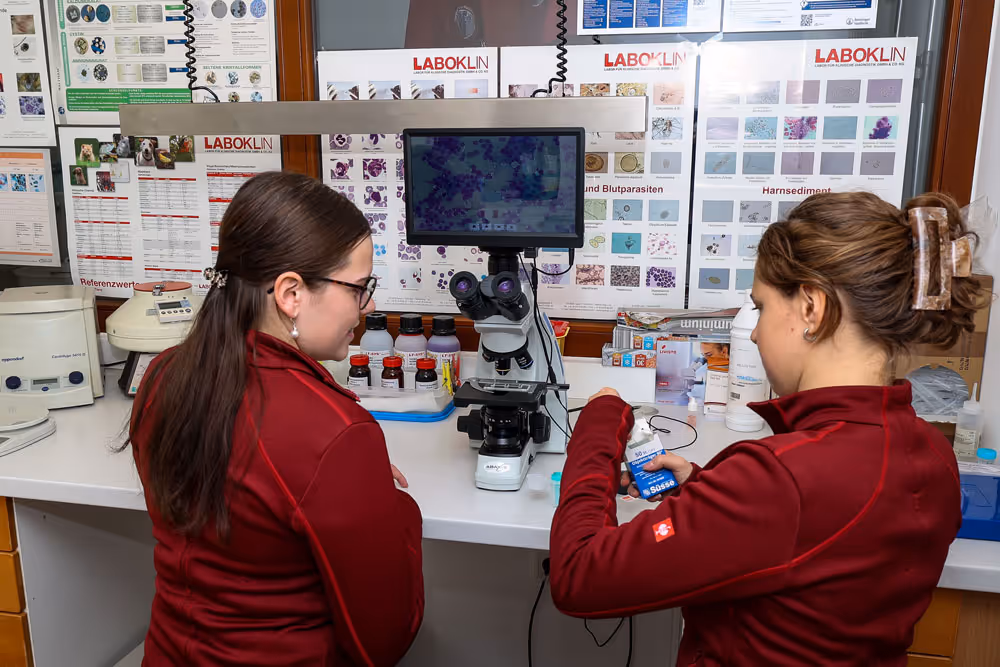 Labor Tierarztpraxis Havixbeck