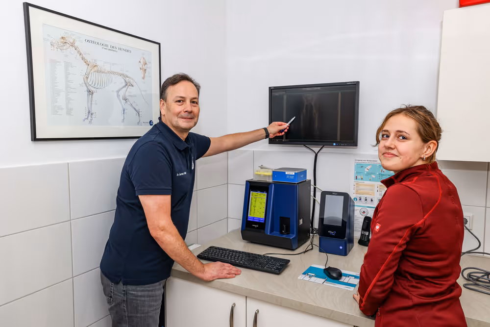 Digitales Röntgen Tierarztpraxis Havixbeck