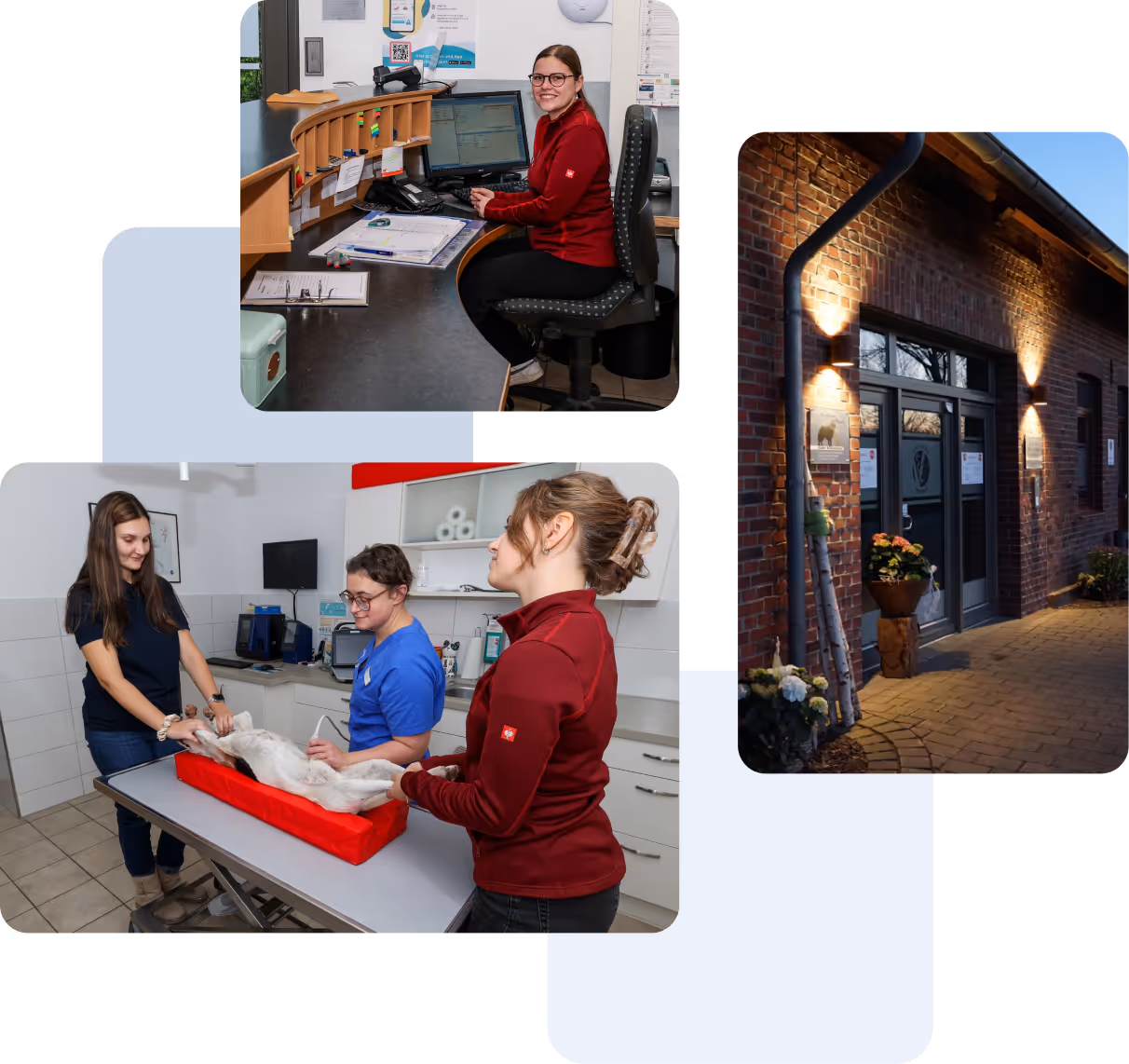 Das Team der Tierarztpraxis Havixbeck