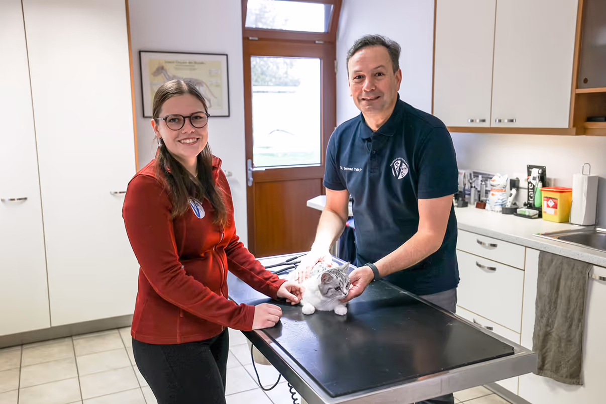 Tierarztpraxis Havixbeck Dr. German Vellejo und Assistentin bei der Untersuchung einer Katze