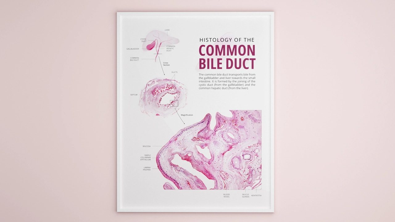 Thumbnail showing a preview of the project.