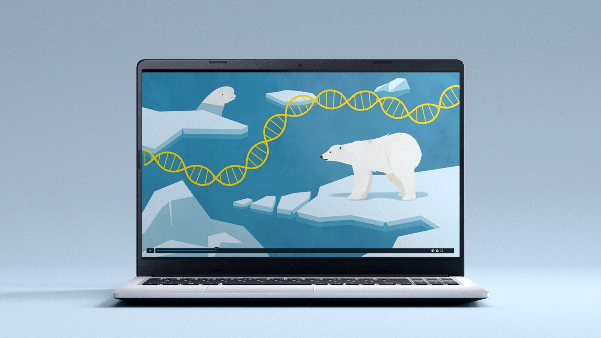 Thumbnail showing a preview of the project.