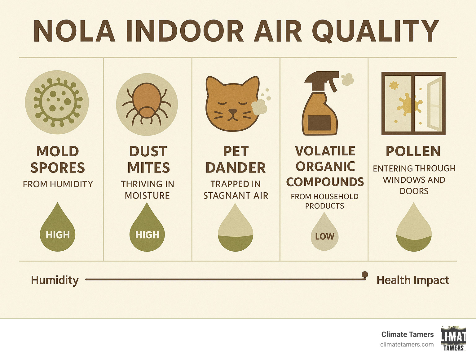 Infographic showing the top 5 indoor air pollutants commonly found in New Orleans homes: mold spores from humidity, dust mites thriving in moisture, pet dander trapped in stagnant air, volatile organic compounds from household products, and pollen entering through windows and doors, with humidity levels and health impact indicators for each pollutant - NOLA indoor air quality infographic 