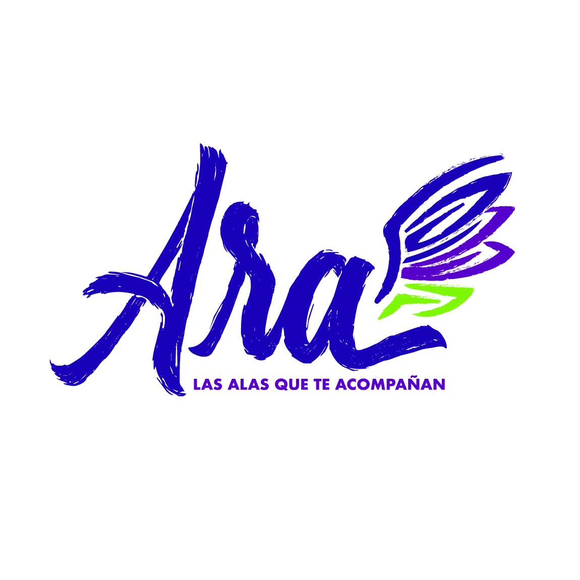 [background image] image of art supplies on a desk (for a graphic design studio)