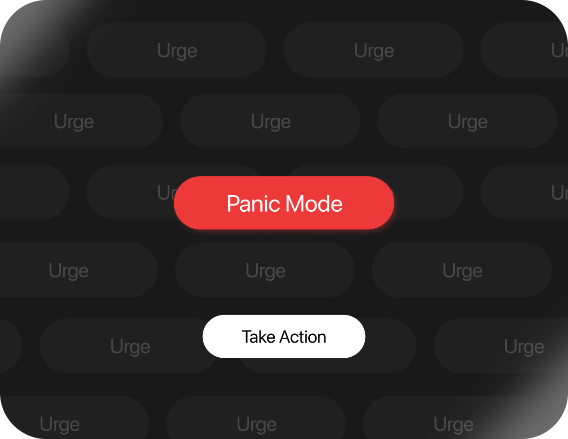 Panic Mode Illustration