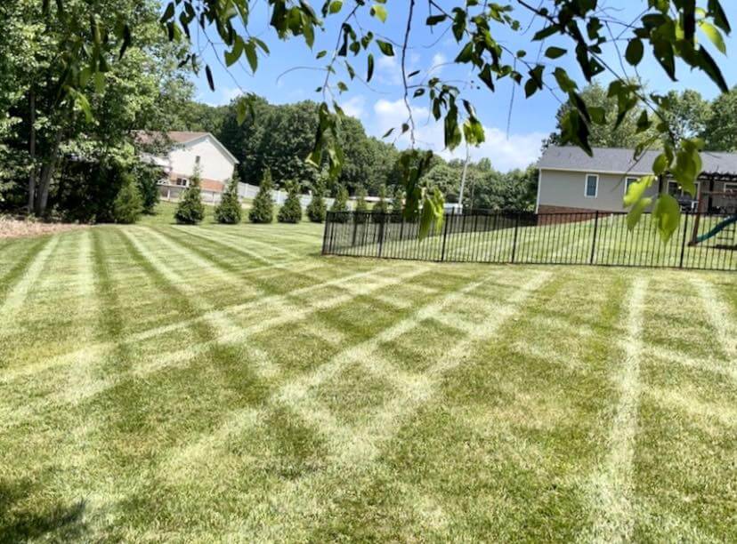 lawn mowing service