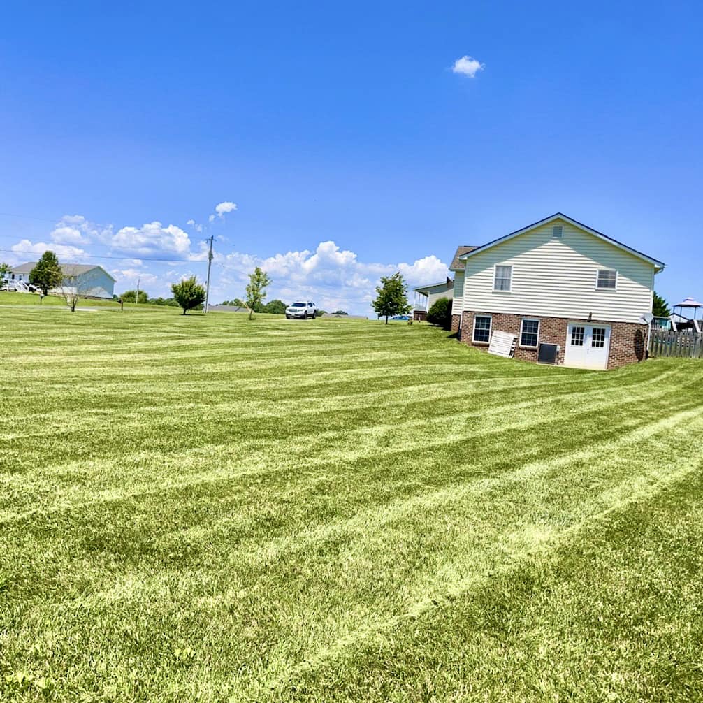landscaping maintenance lawn mowing