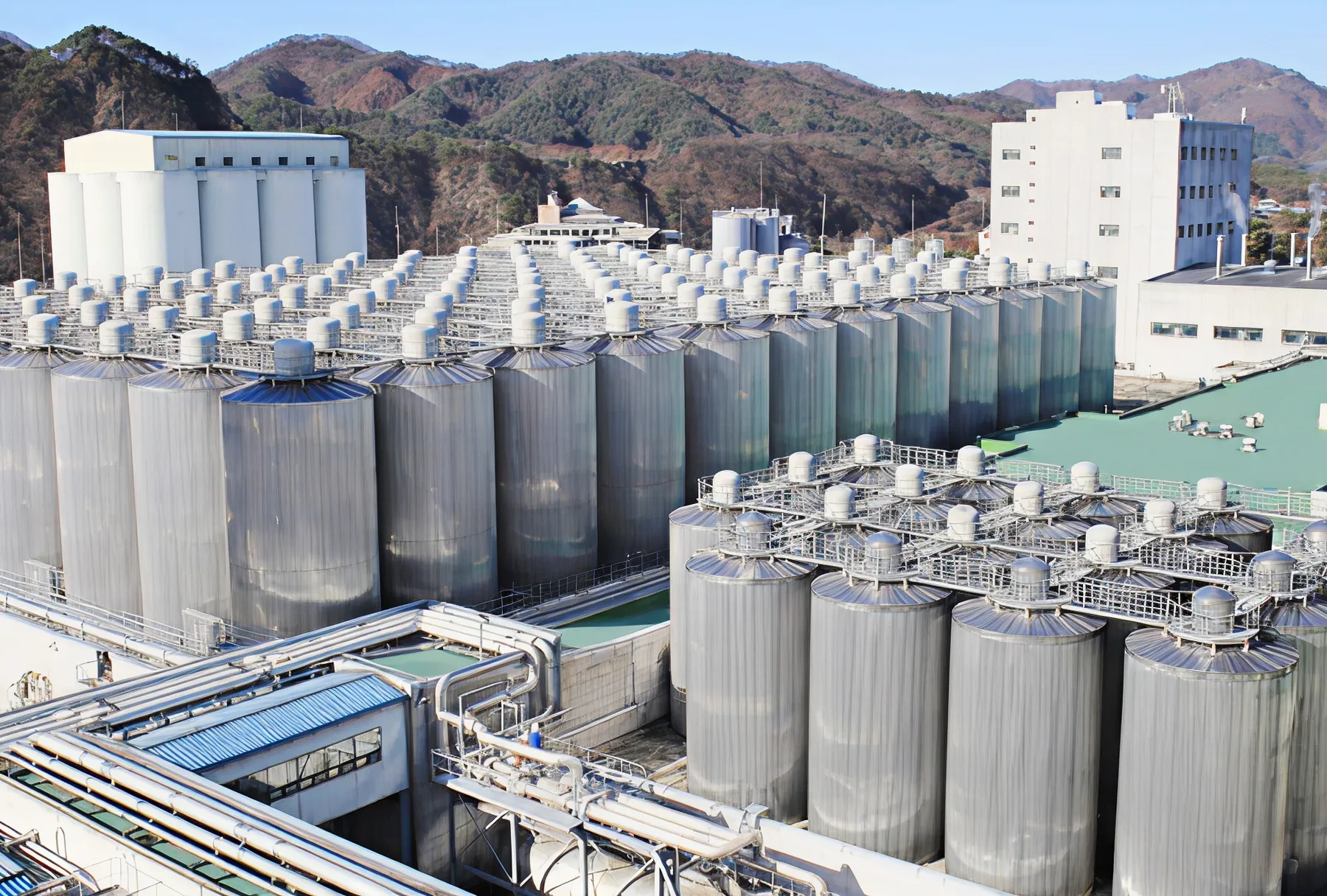Rows of large stainless steel fermentation tanks at industrial facility
