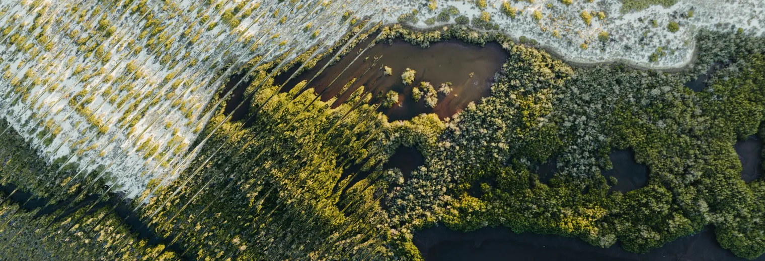 Aerial view of a diverse landscape featuring a mix of sandy areas and lush green vegetation surrounding a body of water.