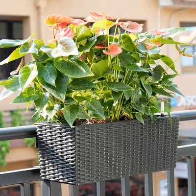 Railing Planter Boxes