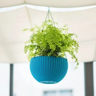 hanging self-watering pots