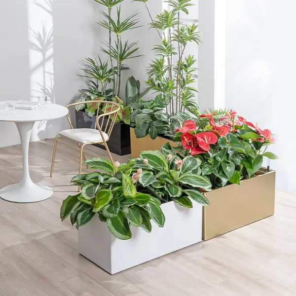 Indoor Planters