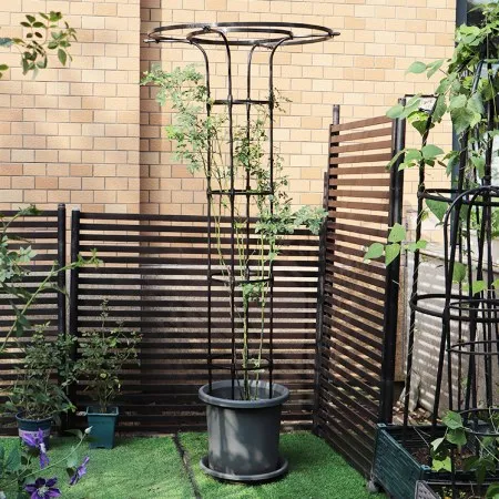 Umbrella Trellis