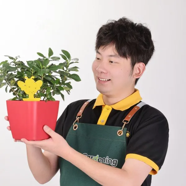 Brice Gardening Custom Pot Service