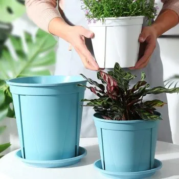 Plastic Pots