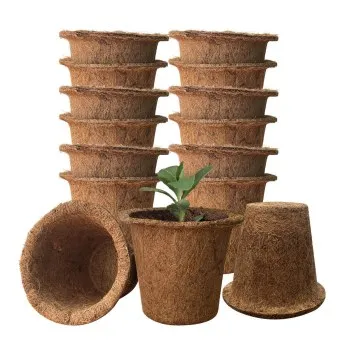 Biodegradable Pots