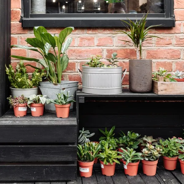 different material plant pot