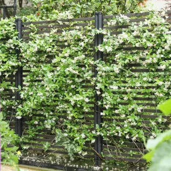 garden trellis panel
