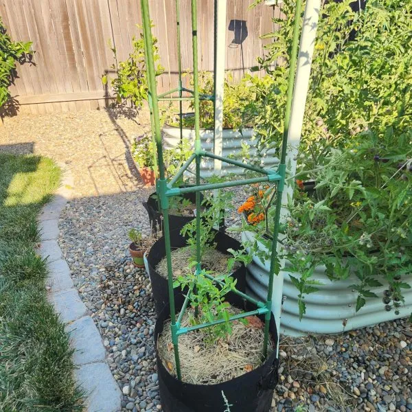 Vertical gardening trellis